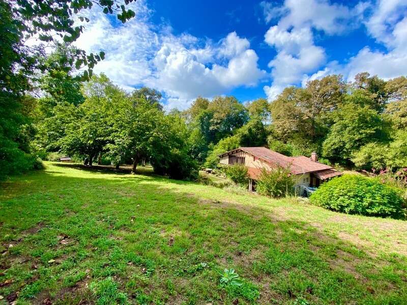 Magnifique Moulin rénové en totalité (DPE D) avec gîte indépendant sur terrain de 3,5HA arboré sans vis à vis BOUGUE (40) - photo 2