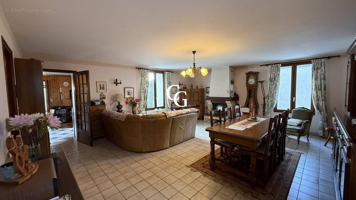 Maison à VIEILLEVIGNE