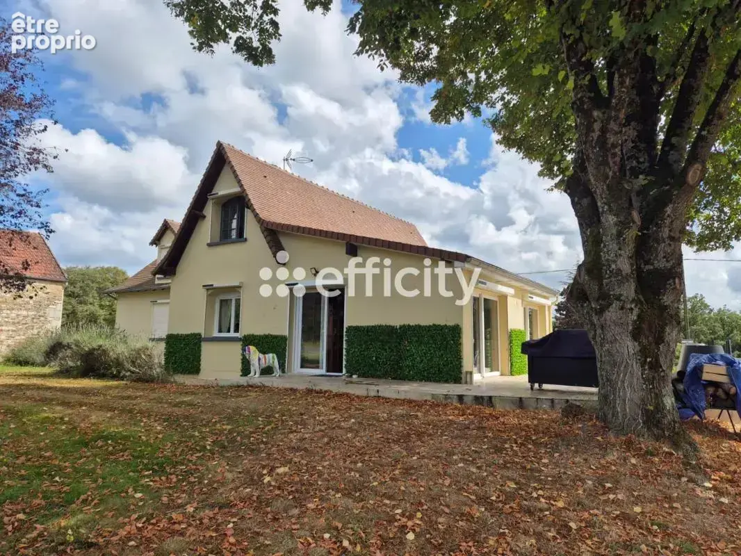 Maison 200 m² à Thevet-Saint-Julien  - photo 3