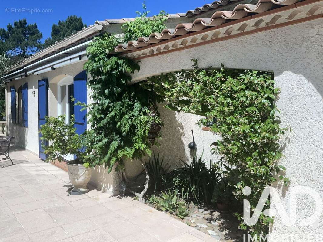Maison 169 m² à Labastide-De-Virac  - photo 4