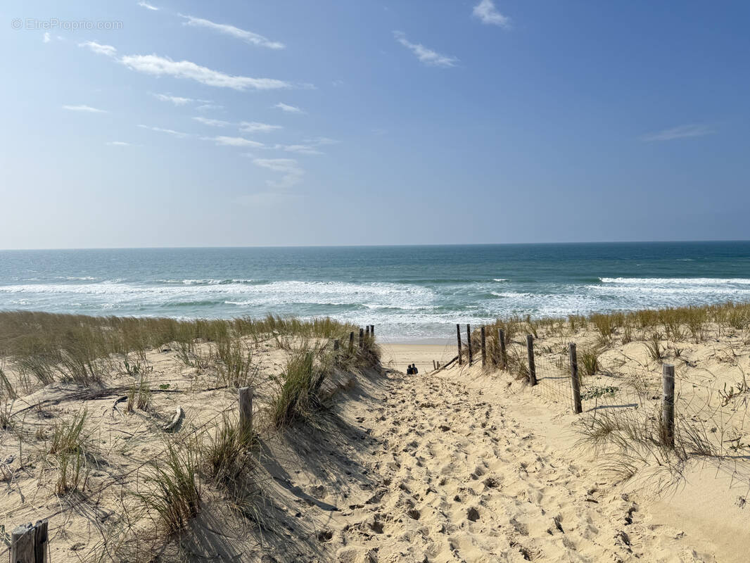 Maison à LEGE-CAP-FERRET