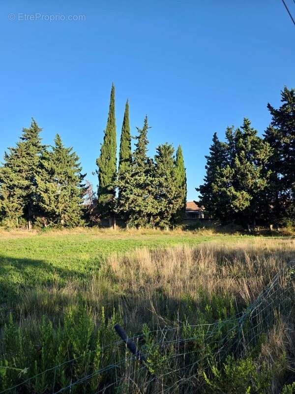 Terrain 325 m² à Istres  - photo 5
