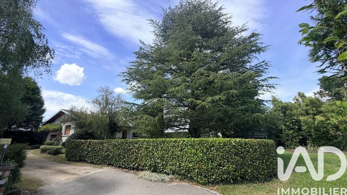Maison 131 m² à Chatillon-Sur-Chalaronne  - photo 3