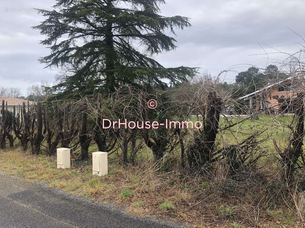 Terrain à PARENTIS-EN-BORN