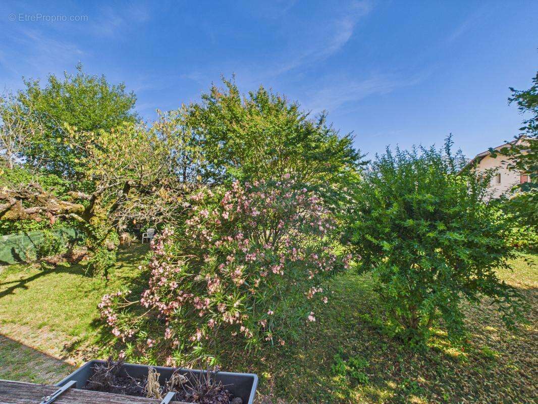 CHAMBÉRY - Maison - 109.50 m2 + terrain de 799m² - photo 17
