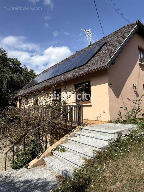 Maison 308 m² à Steinbach  - photo 5