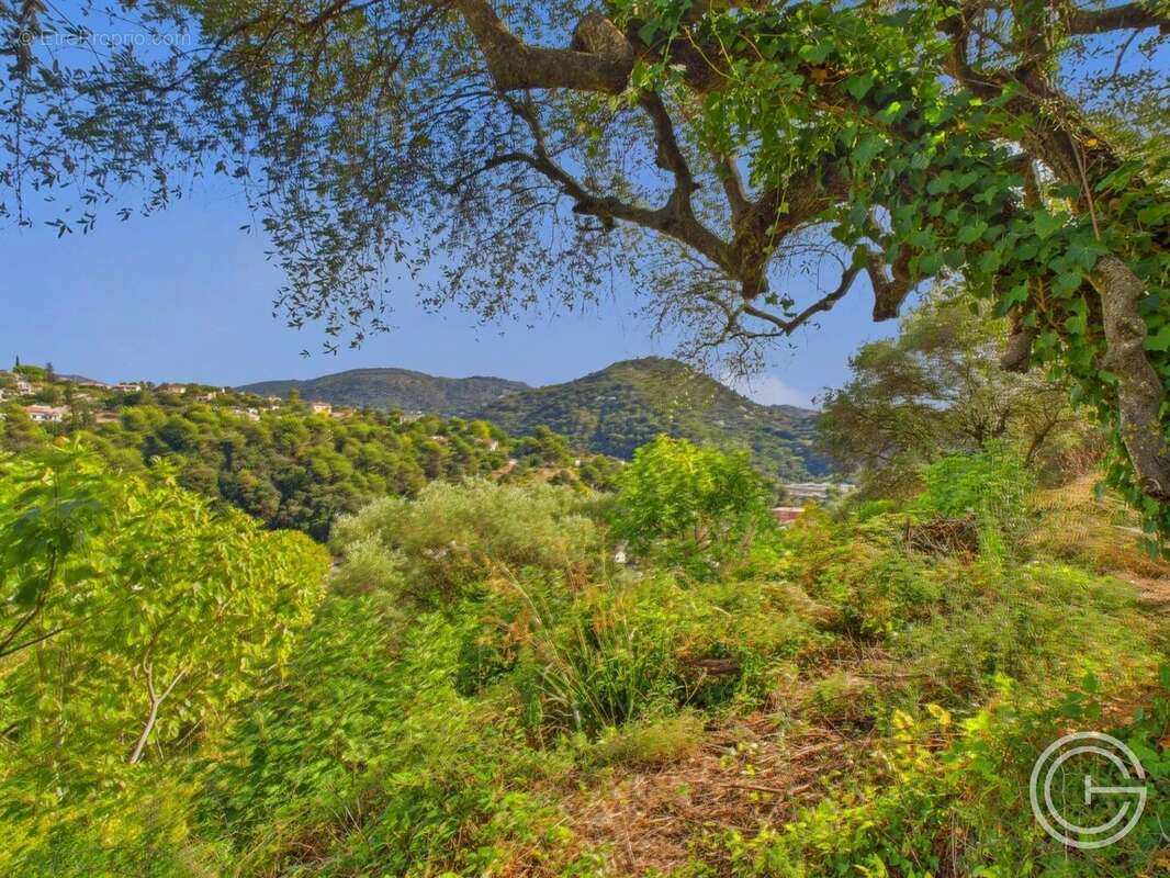 Terrain Constructible - 1.329m² - Chemin de Rimiez - ST ANDRE DE LA ROCHE - photo 13