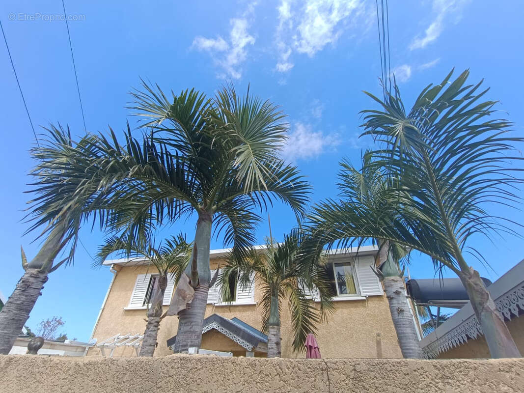 Appartement à LE PORT