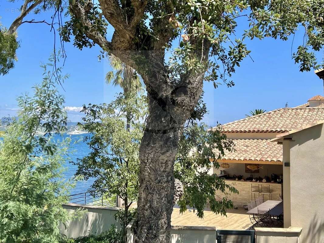 Maison à SAINT-TROPEZ