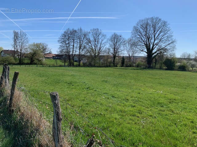 Terrain à XERMAMENIL