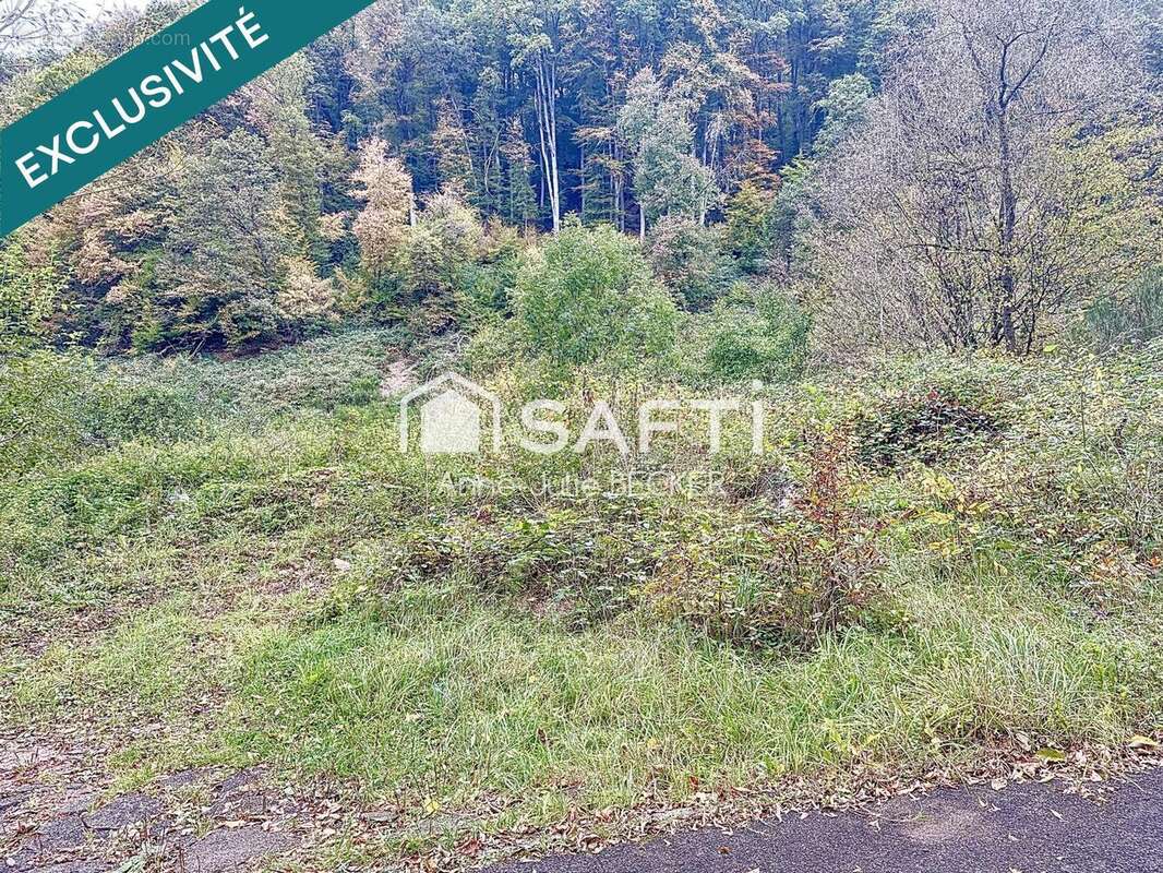 Photo 3 - Terrain à LAMBACH