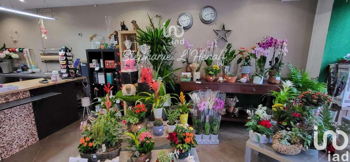 Photo 2 - Commerce à SAVIGNY-SUR-ORGE