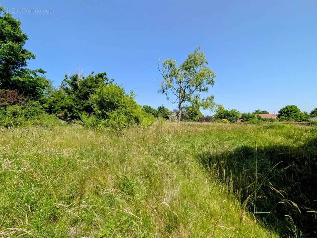 Terrain à DAROIS
