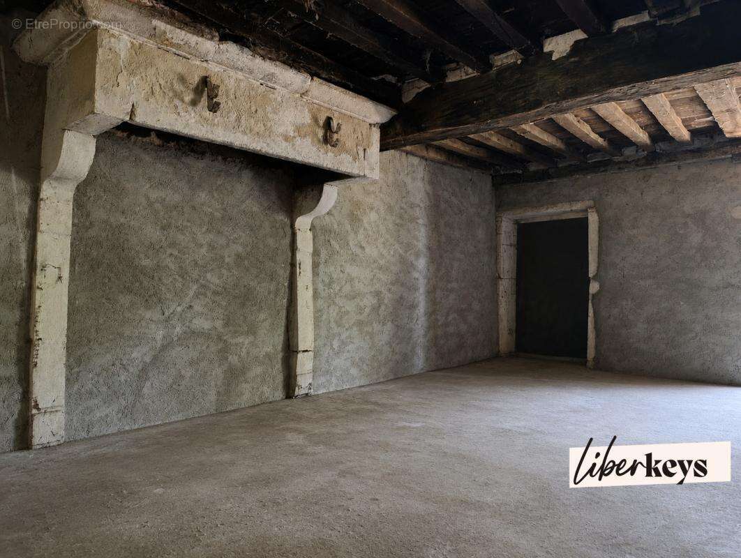 Bord de saône - demeure en pierre - 155 m² habitable - caves - dépendances - 2 puits - 4702 m² zone verte - photo 10