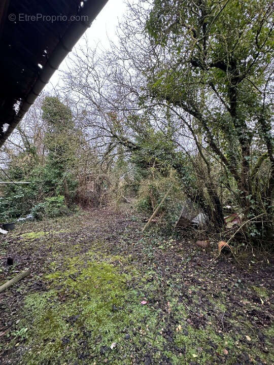 Terrain à FLINS-NEUVE-EGLISE