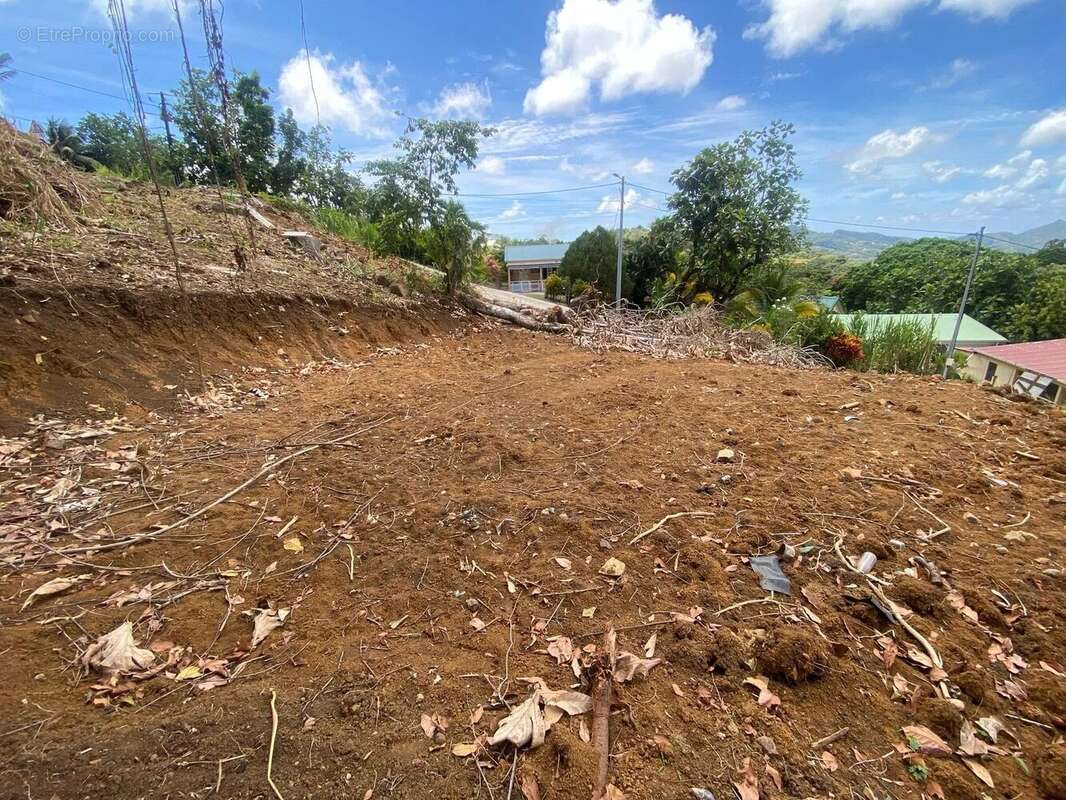Terrain à LE VAUCLIN