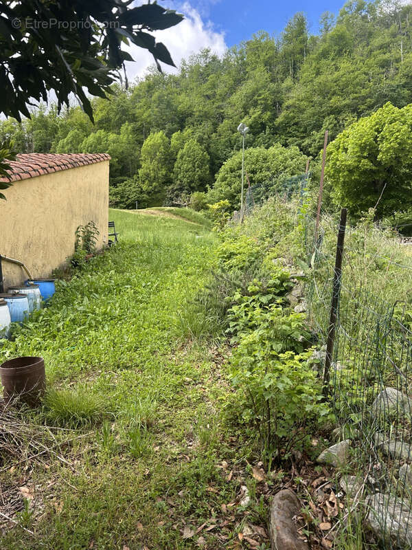 Maison à PRATS-DE-MOLLO-LA-PRESTE