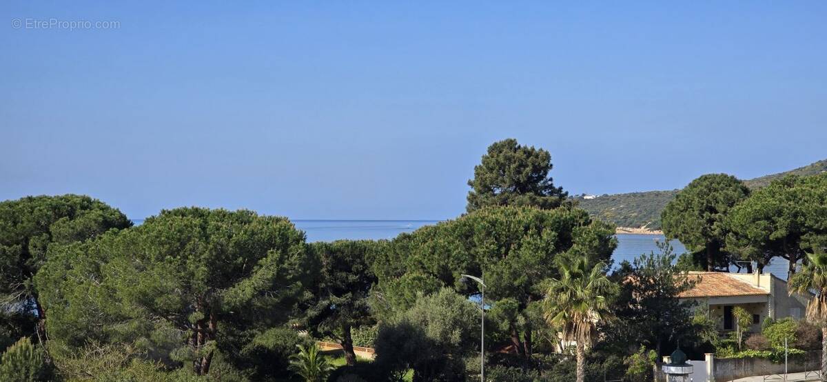 Appartement à COGGIA