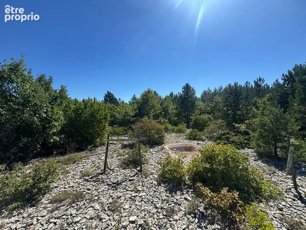 Terrain Sault 20196 m2 - photo 9