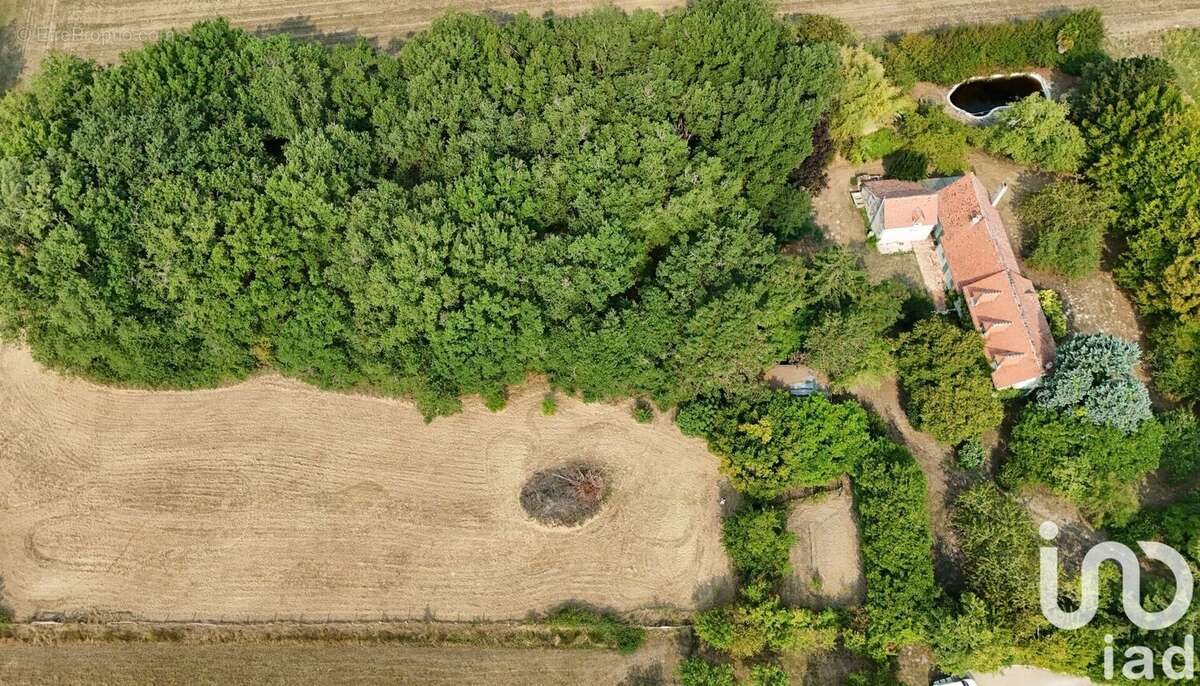 Photo 5 - Maison à CUSSAY