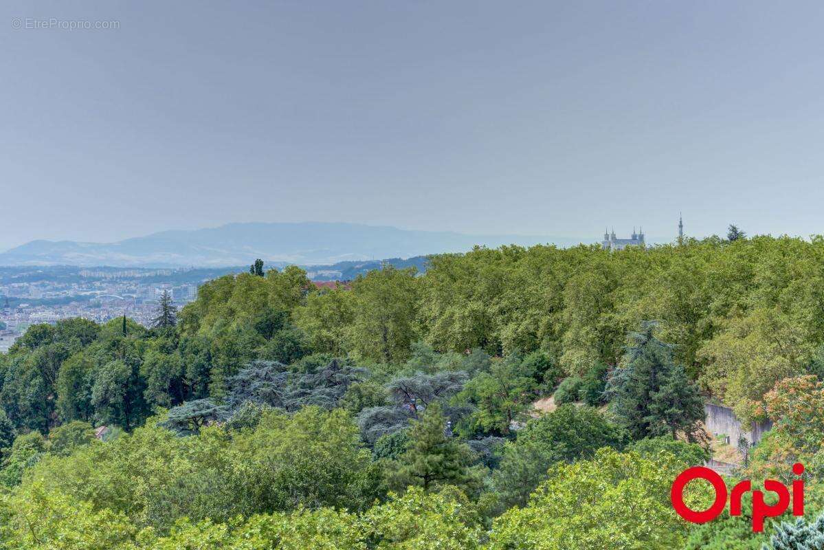 T3 de 96,63 m² - Vue dégagée - photo 5