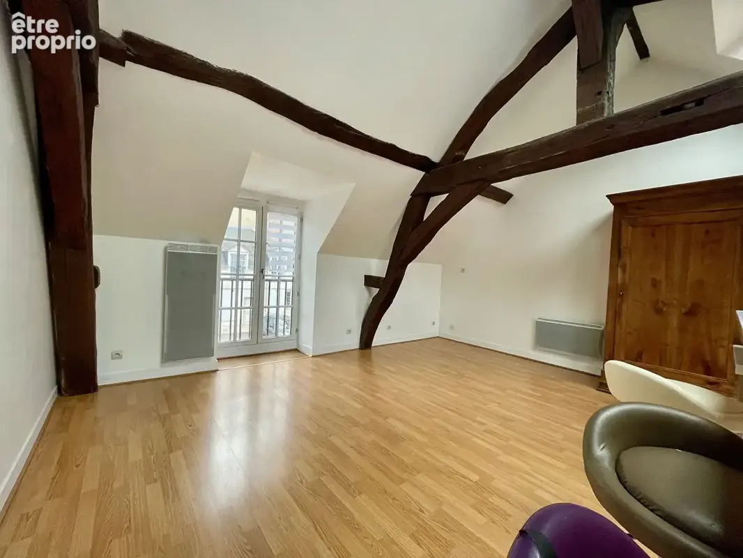 Orléans Bannier  T4 lumineux avec salon cathédrale - photo 2