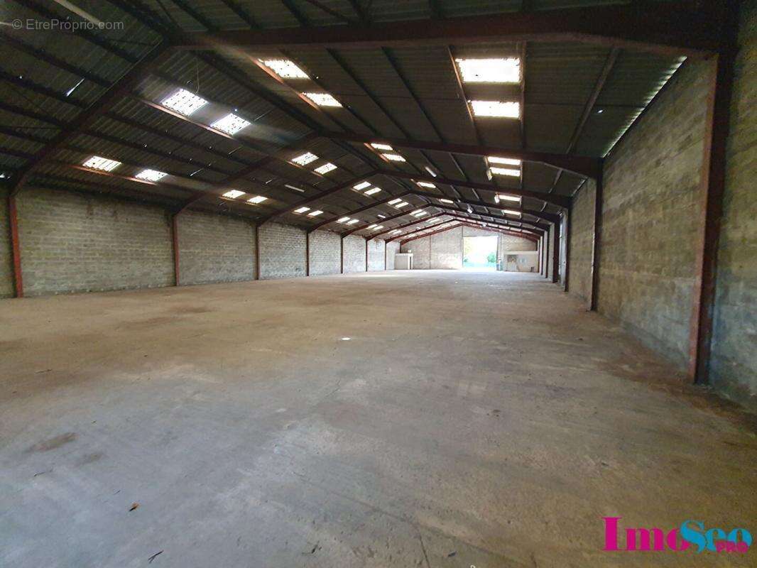 Commerce à AMBARES-ET-LAGRAVE