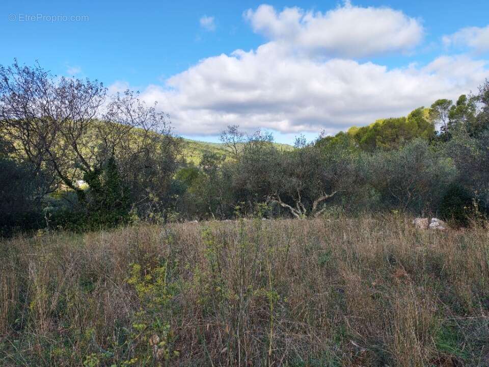 Terrain à CARNOULES