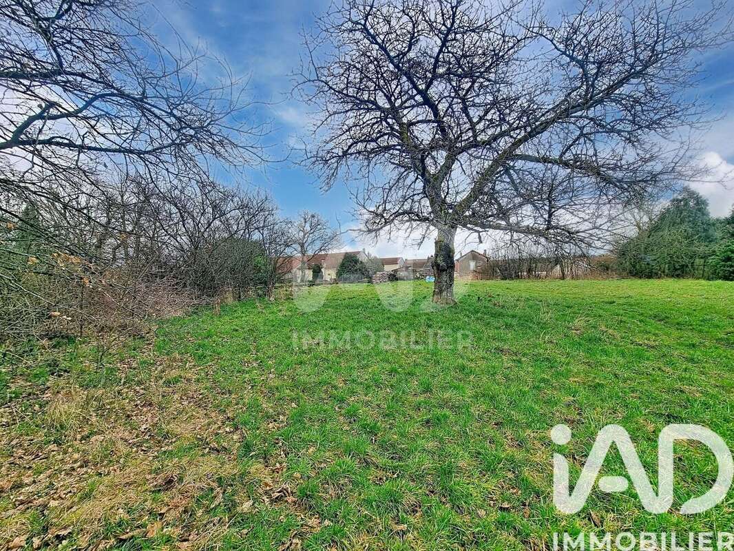 Photo 4 - Terrain à MERVILLER