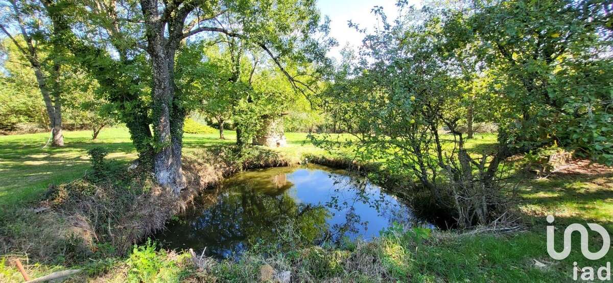 Photo 3 - Maison à ROZIER-EN-DONZY