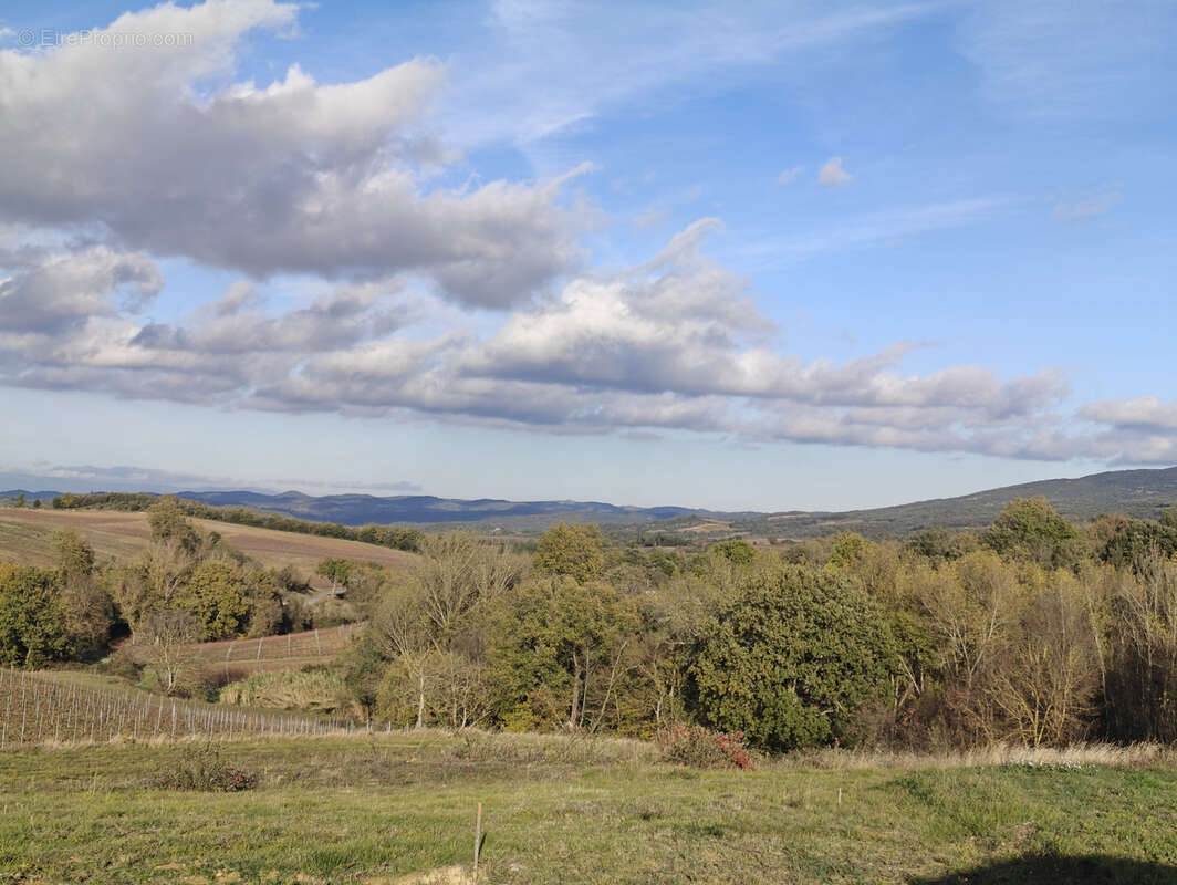 Terrain à VILLAR-SAINT-ANSELME