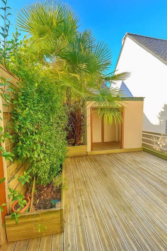 Commerce à FONDETTES