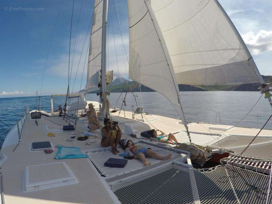 Commerce à DESHAIES