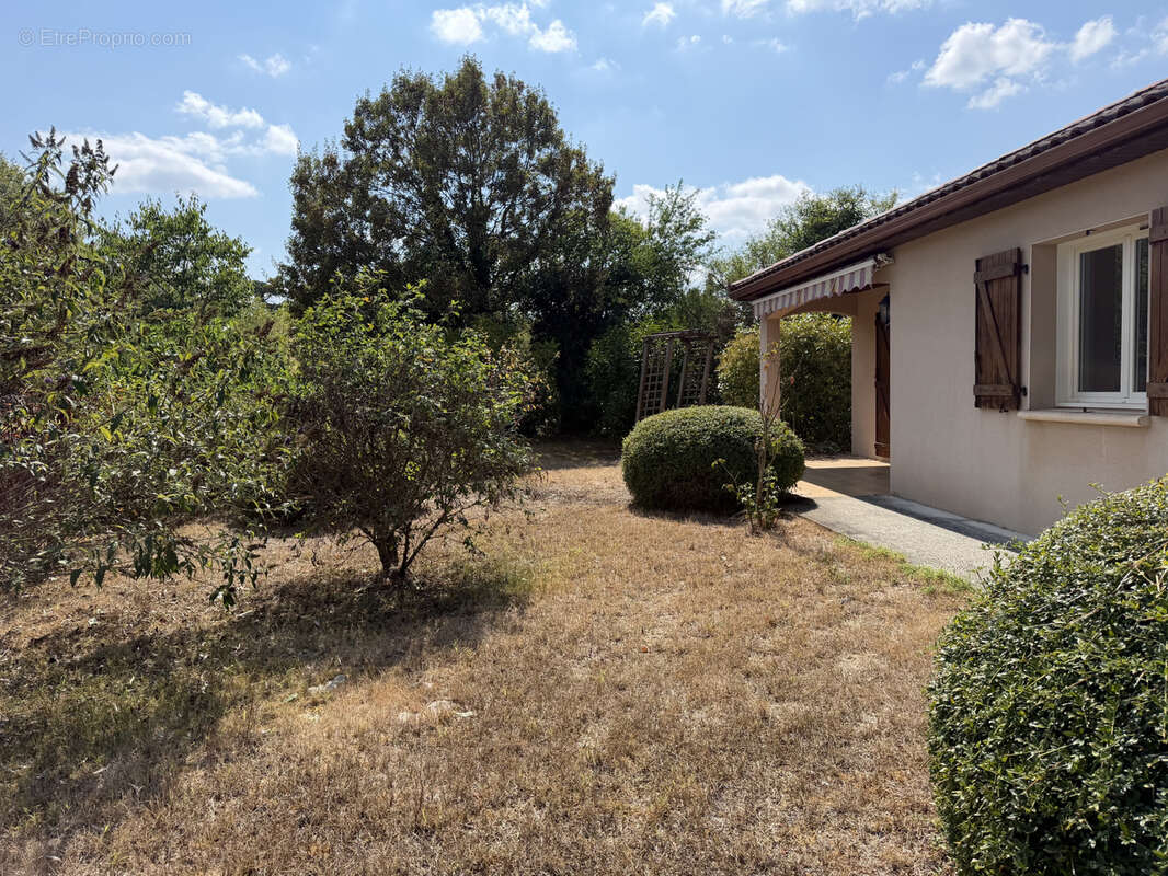 Pavillon de plain pied de type 3 - photo 4