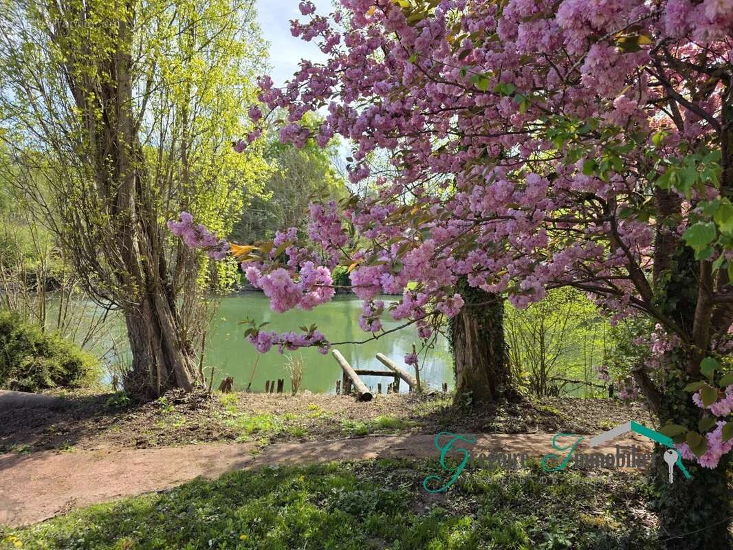 Maison à MONTIGNY-SUR-LOING