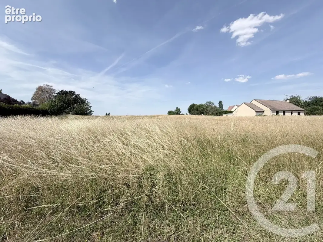 Photo Terrain à Rampillon au prix de 63 000€