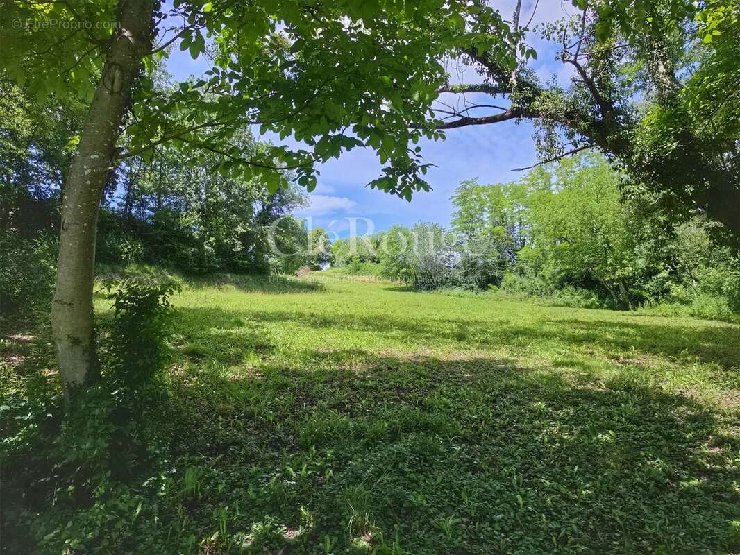 Belle propriété équestre clé en main sur 1,7 hectare au cœur de la campagne girondine - photo 26