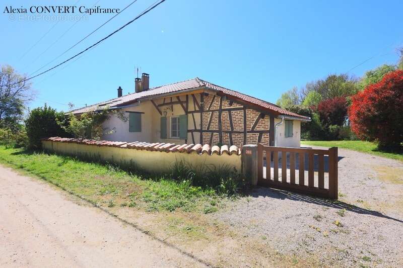Maison à vendre 5 pièces, terrain 3420m² de calme à CORMOZ (01) - photo 7