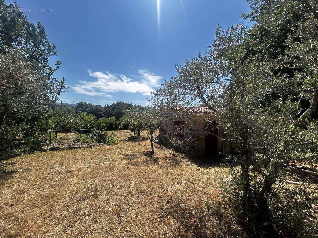 Maison à SAINT-MAXIMIN-LA-SAINTE-BAUME