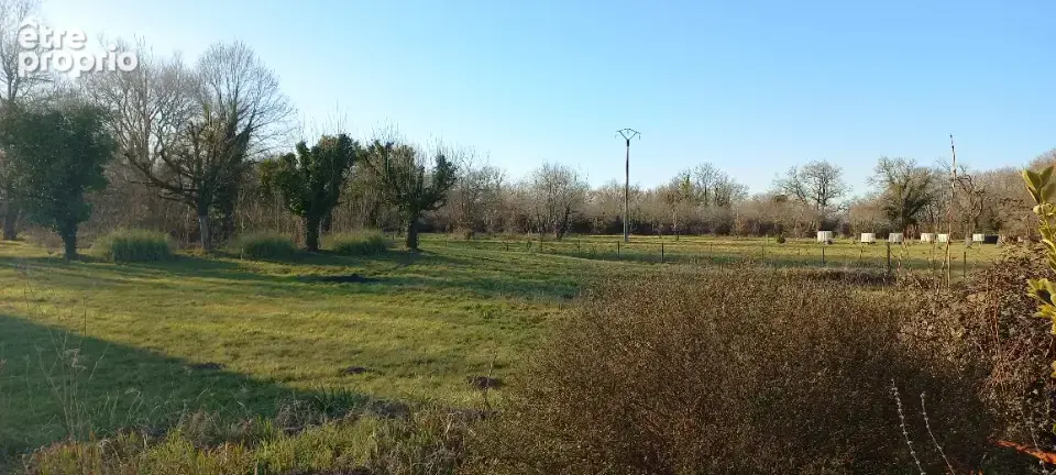 Terrain à MENESPLET