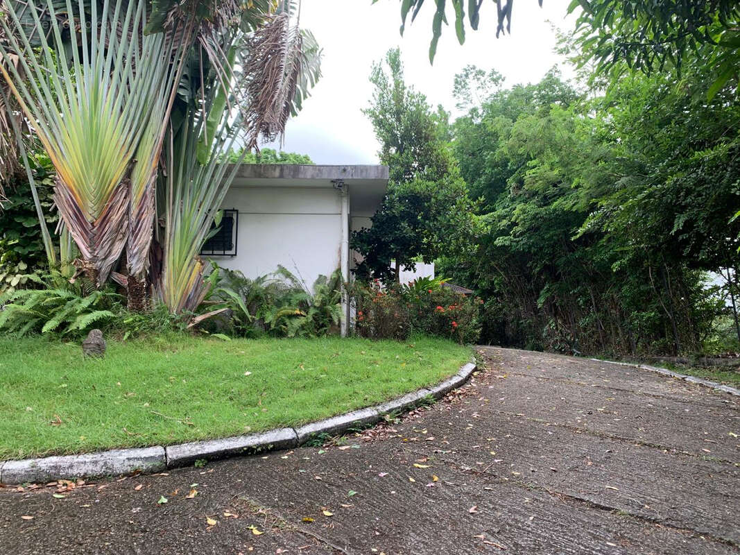 Villa de Charme Dider Fort de France - photo 18