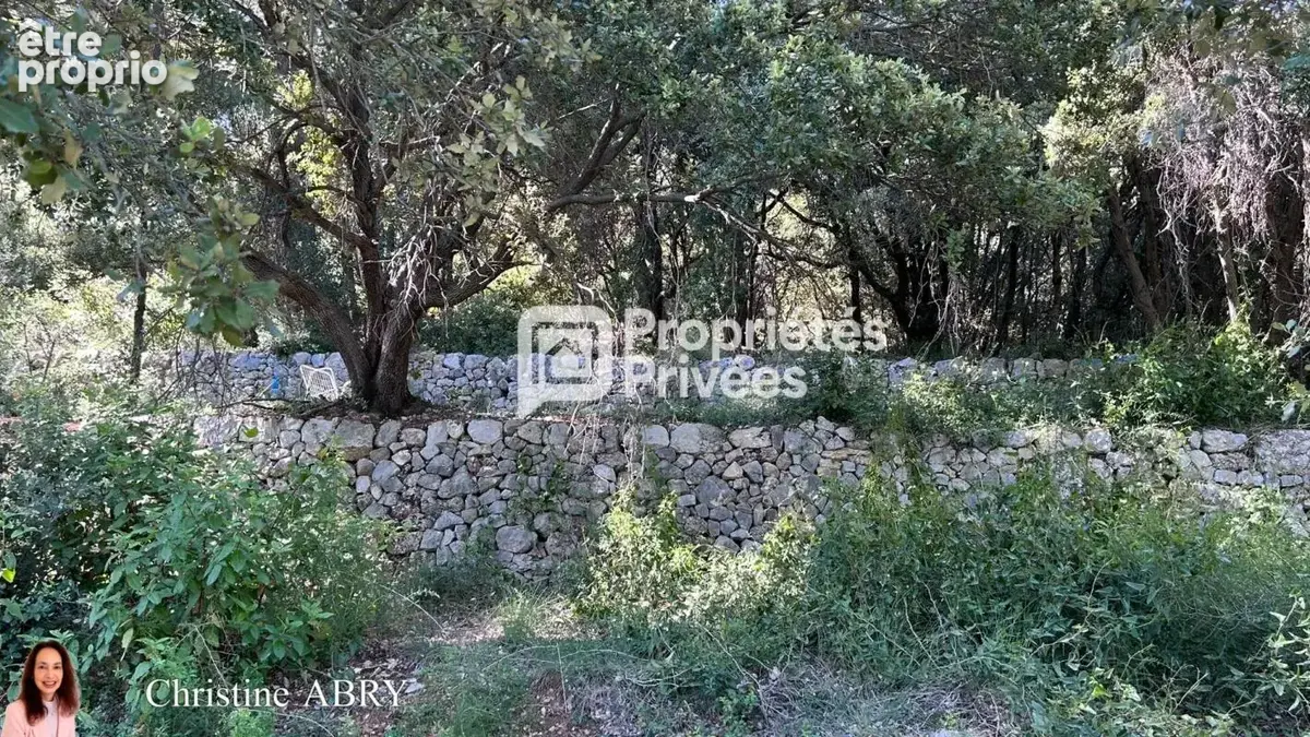 Bargemon Terrain de 2020 m2 - photo 4