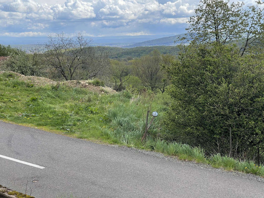 Terrain à AUXELLES-HAUT