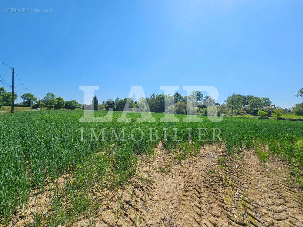 Terrain à SAINT-PIERRE-DES-NIDS