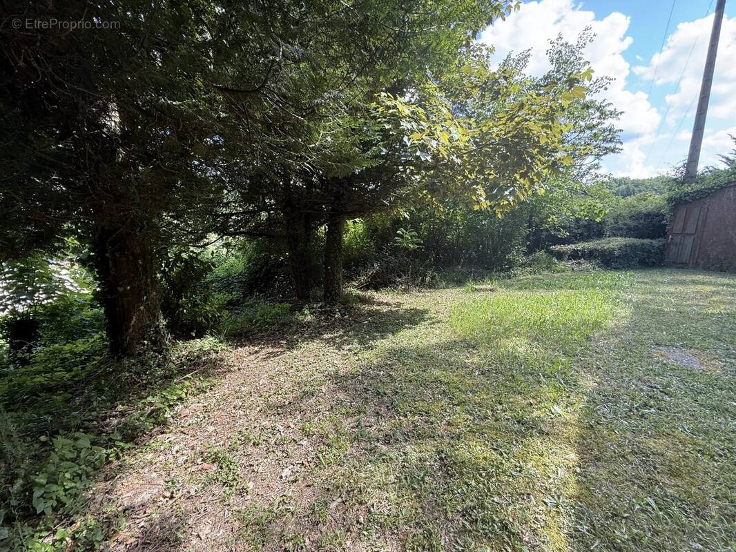 Terrain à VILLAINES-LES-ROCHERS