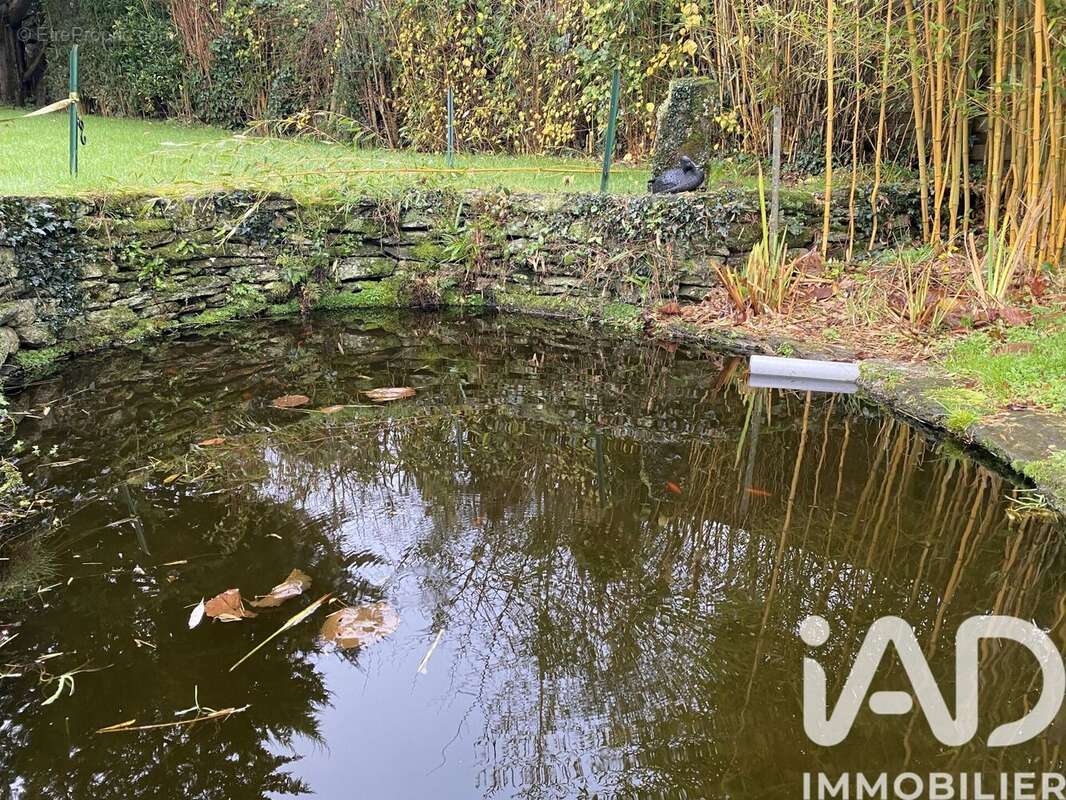 Photo 2 - Maison à CHATEAUNEUF-DU-FAOU