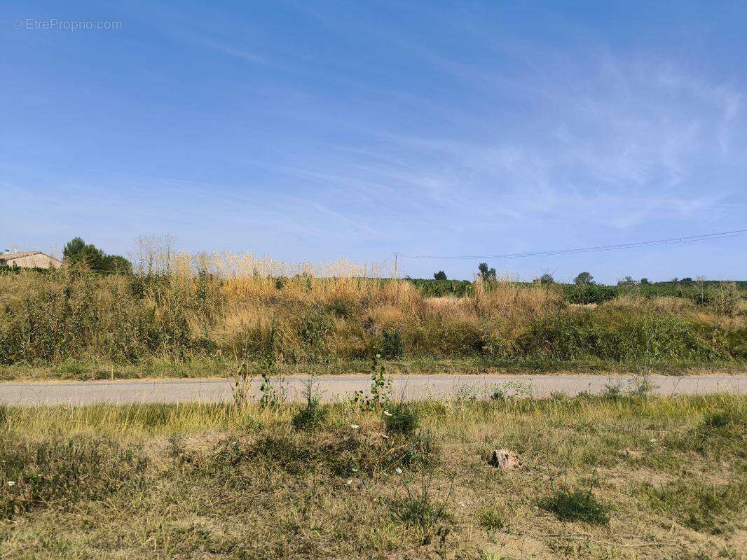 Terrain À Vendre 746 M2 PLAT - photo 6