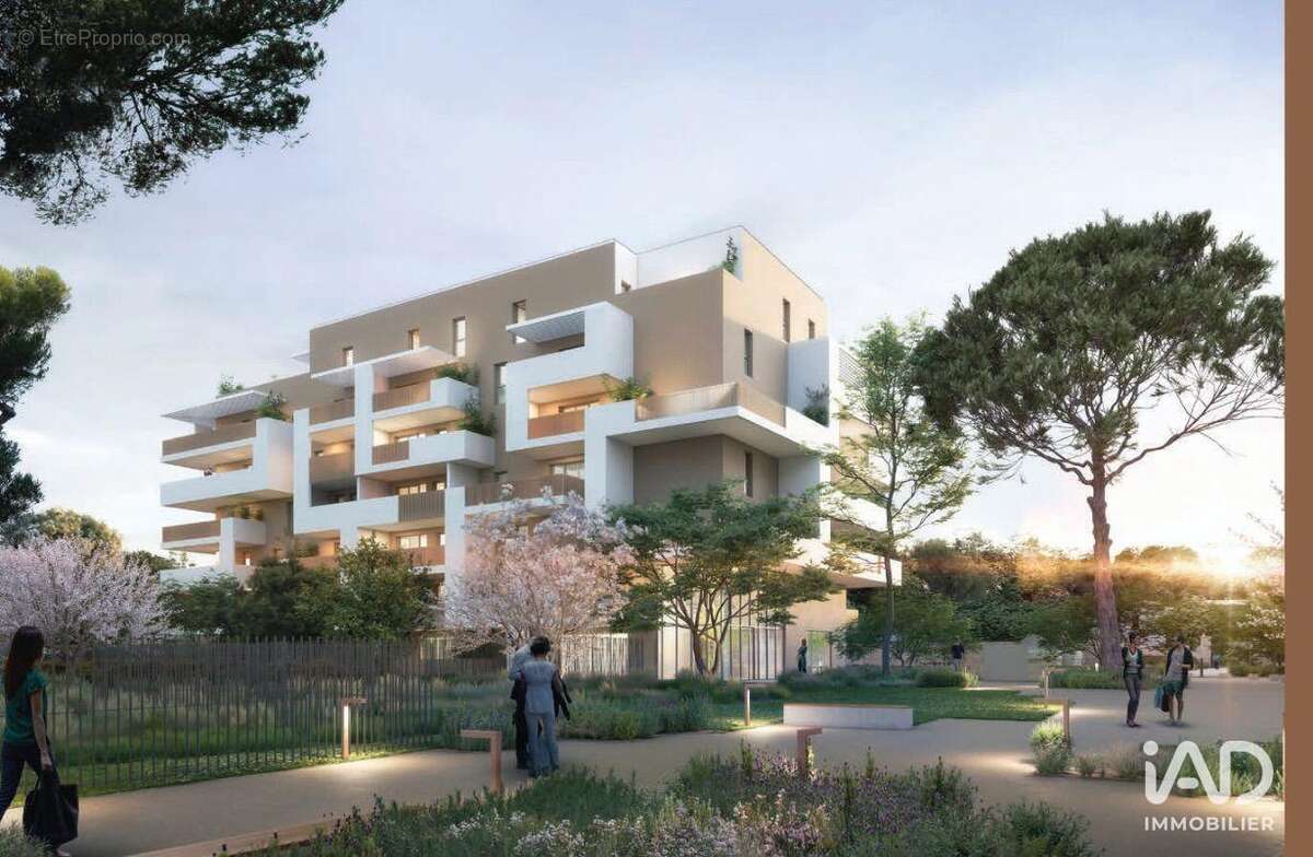 Photo 2 - Appartement à MONTPELLIER