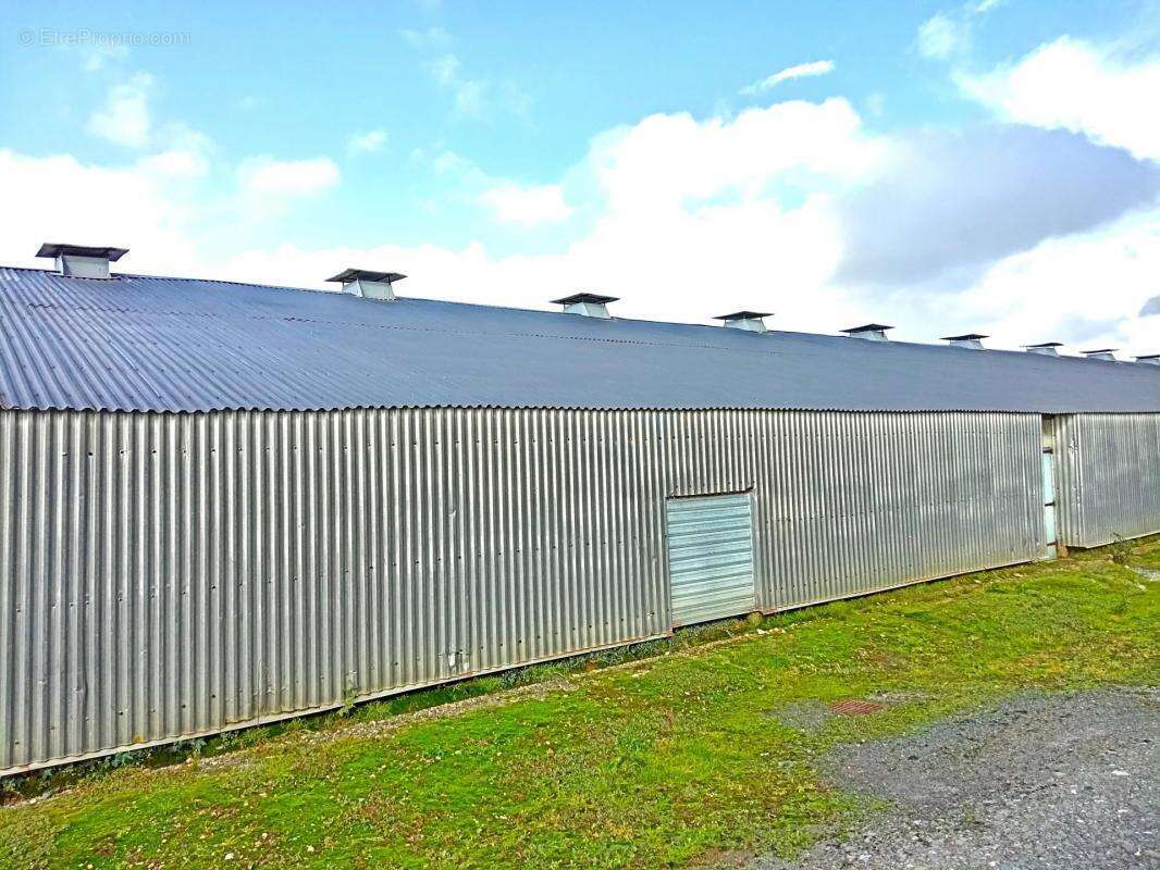 Maison à SAINT-MARS-LA-JAILLE