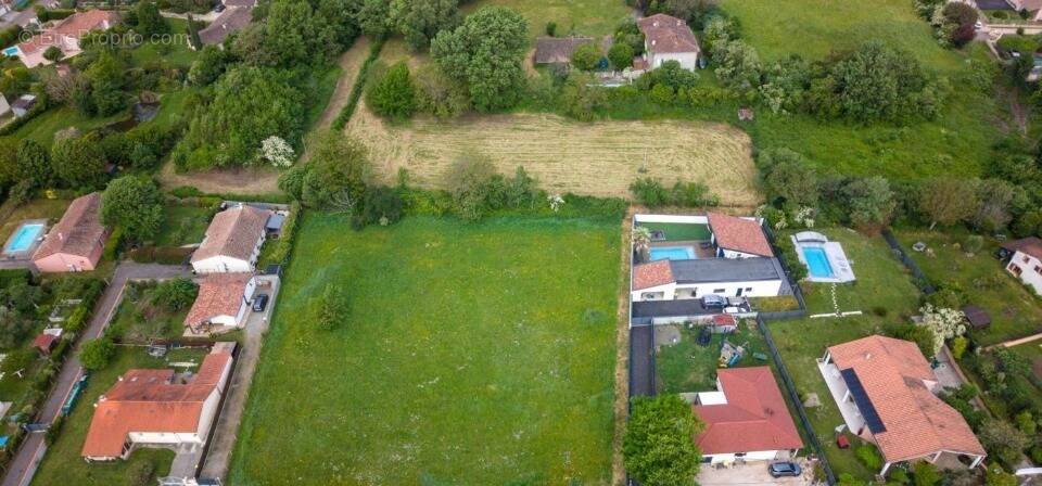 Terrain à NOE